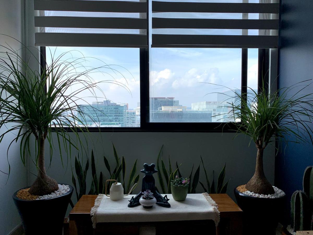 Blue Horse Apartment In New Polanco. Città del Messico Esterno foto